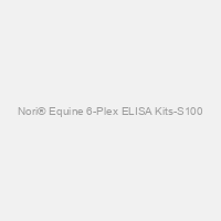 Nori® Equine 6-Plex ELISA Kits-S100